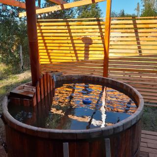 Cabaña Radal C/ Tinaja - 8