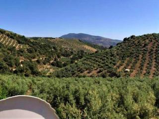 Belvilla by OYO Cottage in AndalucÃa - Serval - 4