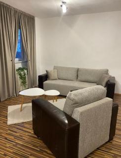 TALINA Apartament - Oradea - 6
