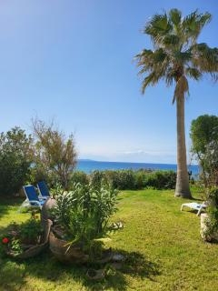 Kanalli Apartments - 1