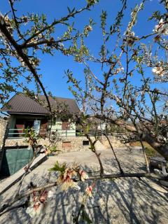 Almond Yard - Mostar - 2