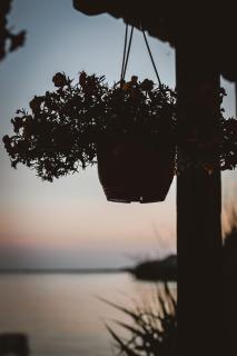 Zen House for 2 - Ulcinj - 6
