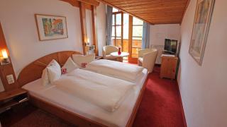 Hotel Alpin - Ehrwald - 5