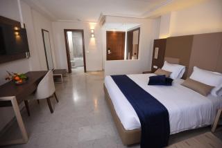 Hôtel Lescure Business and SPA - 2