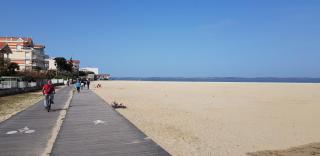 ARCACHON PETIT PORT - T3 VUE BASSIN - Arcachon - 5