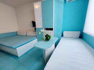 APARTMENT LEO 3 - 3