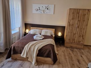 ApartHouse Apartamenty Centrum - In the city center Near the train station - Kattowitz - 0