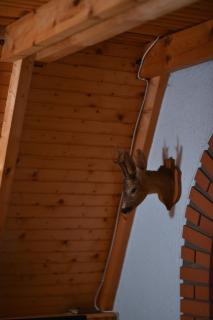 Vila Jovanovic - Zlatibor - 2