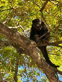The Breeze Hotel & Villas - Tamarindo - 7