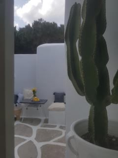 Cassaris Mykonos - Drafaki - 2