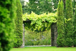 Bradleys Garden Bed and Breakfast - Taumarunui - 6
