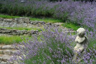 Bradleys Garden Bed and Breakfast - Taumarunui - 5