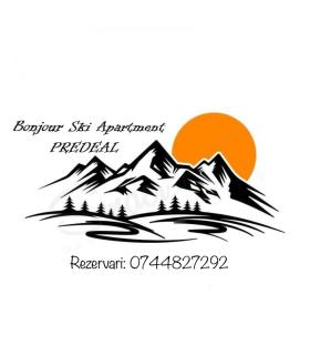Bonjour Apartment - Predeal - 9