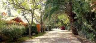 566 Chacras de Coria - 2