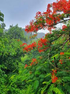 Visal Sak Guesthouse - 4