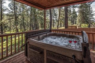 Shady Pines - Ruidoso - 0