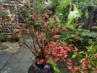 WuYuan QiYe YanXiang Guesthouse - Wuyuan - 4