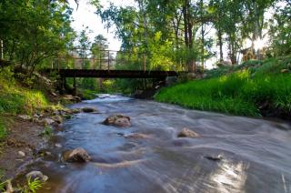 Ruidoso Rabb - Ruidoso - 5