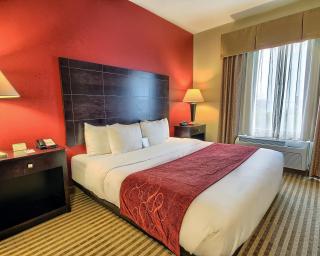 Comfort Suites Columbus East Broad - Columbus - 5