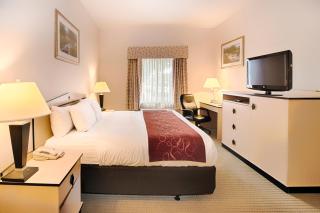 Comfort Inn & Suites Airport Convention Center - Reno - 4