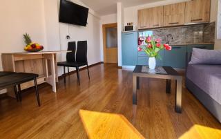 Downtown Apartment Ela - 9