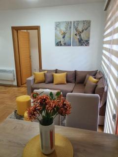 ApartmanBogdanović012 - Zlatibor - 6