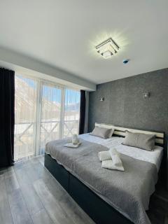 Besami Hotel - Kasbegi - 8