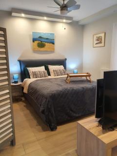 Tony's suite with parking - Atene - 2