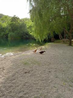 Vacation Home Hercegovka - 0