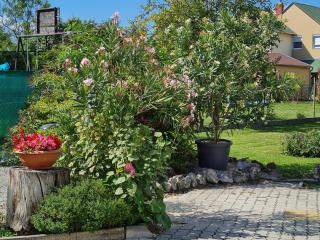 Ginger House Apartment - Keszthely - 4