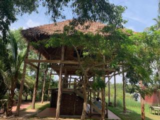 Natura luxury camp - Ouidah - 8