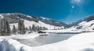 Sonnkogl - Wildschönau - 2