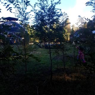 Domos Villarrica - 1
