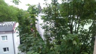 Apartament Waszyngtona - Varsavia - 4