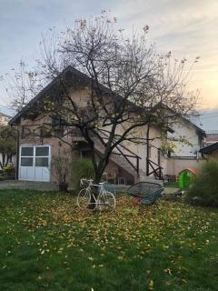 Apartmani Joma - Bajina Bašta - 9