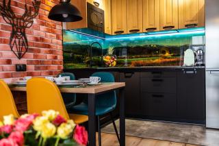 Apartament Jelonek - 1