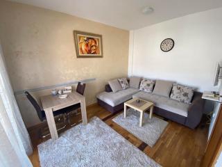 Apartman Bojanic - 8