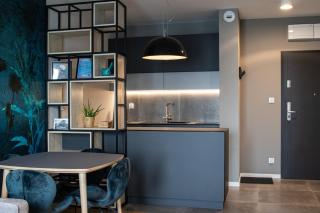 Urban Space Apartament 86 - Free parking - Breslavia - 9