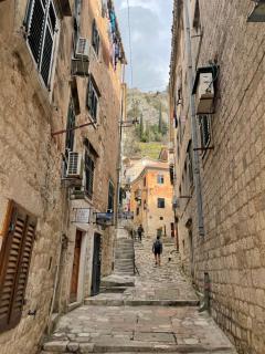 Sofija Apartment - Kotor (Cattaro) - 5