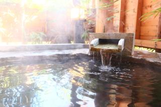 IZUNA INN & SPA - the veggie delights - Ito - 2