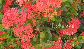 Flat's Quartier no Aldeia das Águas - 2