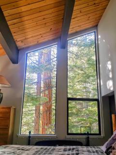 Woodsy retreat near Northstar & lake - 1