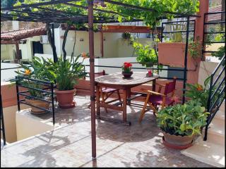 Traditional Residence with terrace - Latsídha - 9