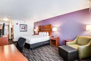 Best Western Firestone Inn & Suites - Longmont - 6