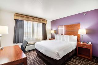 Best Western Firestone Inn & Suites - Longmont - 4