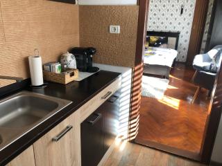 Schei Studio 1 - Braşov - 3