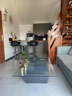 ROAZHON LODGE - Montgermont - 8