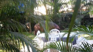 Lake St Lucia Lodge - St Lucia - 1