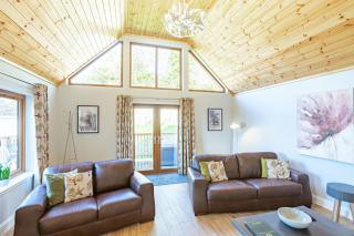 Kestrel Lodge 6 with Hot Tub - Newton Stewart - 9