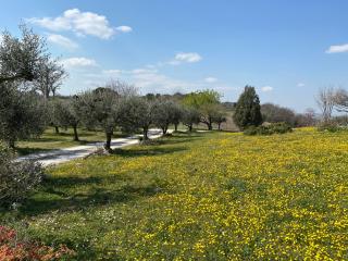 Belle Marche - Civitanova Alta - 8